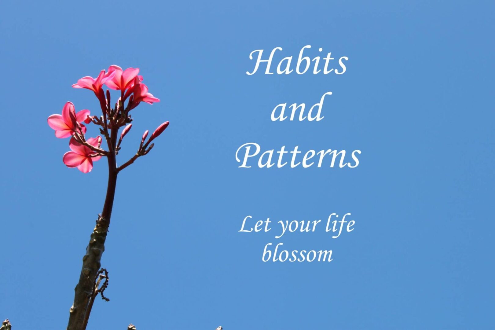Habits and Patterns Logo (276)
