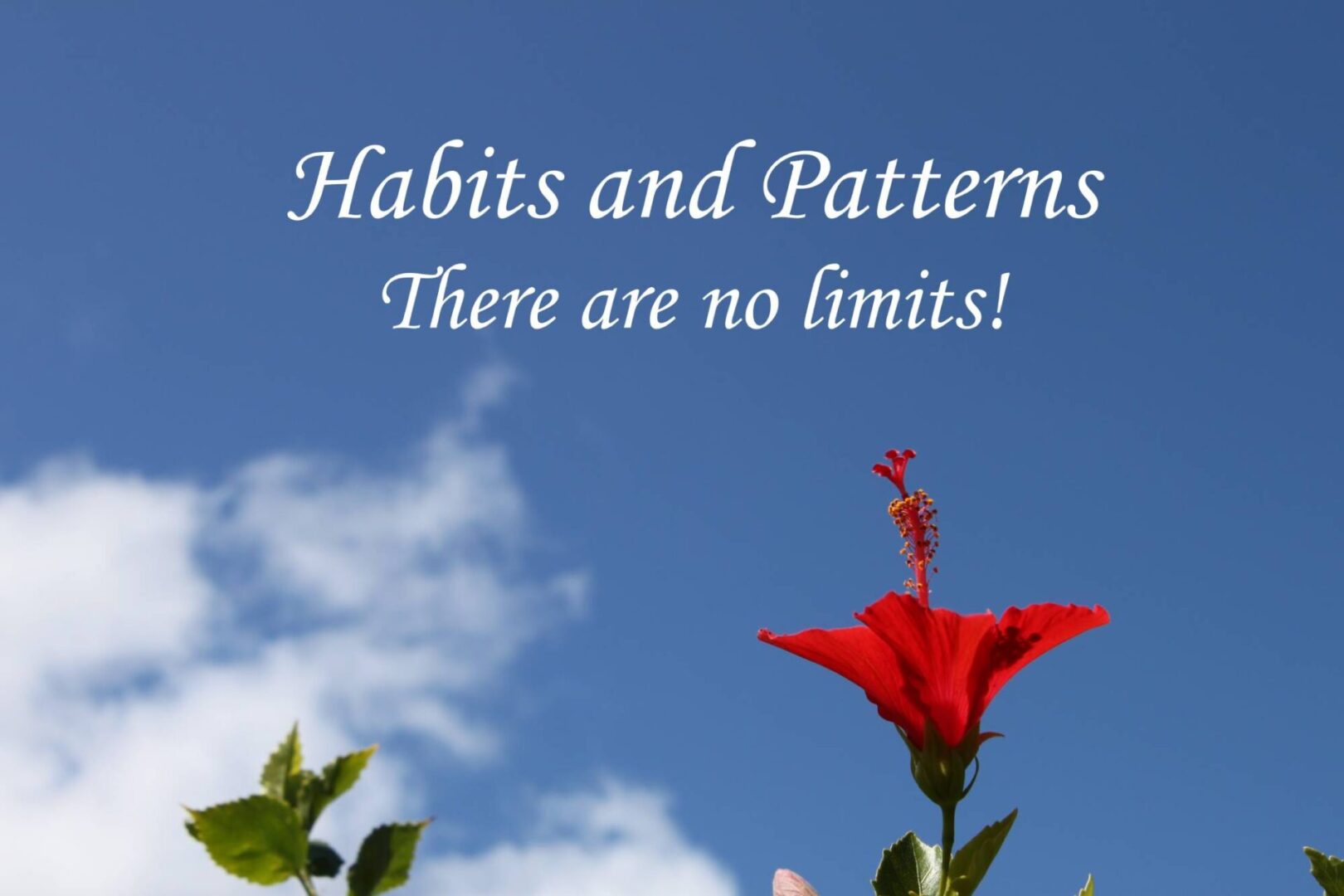 Habits and Patterns Logo(273)